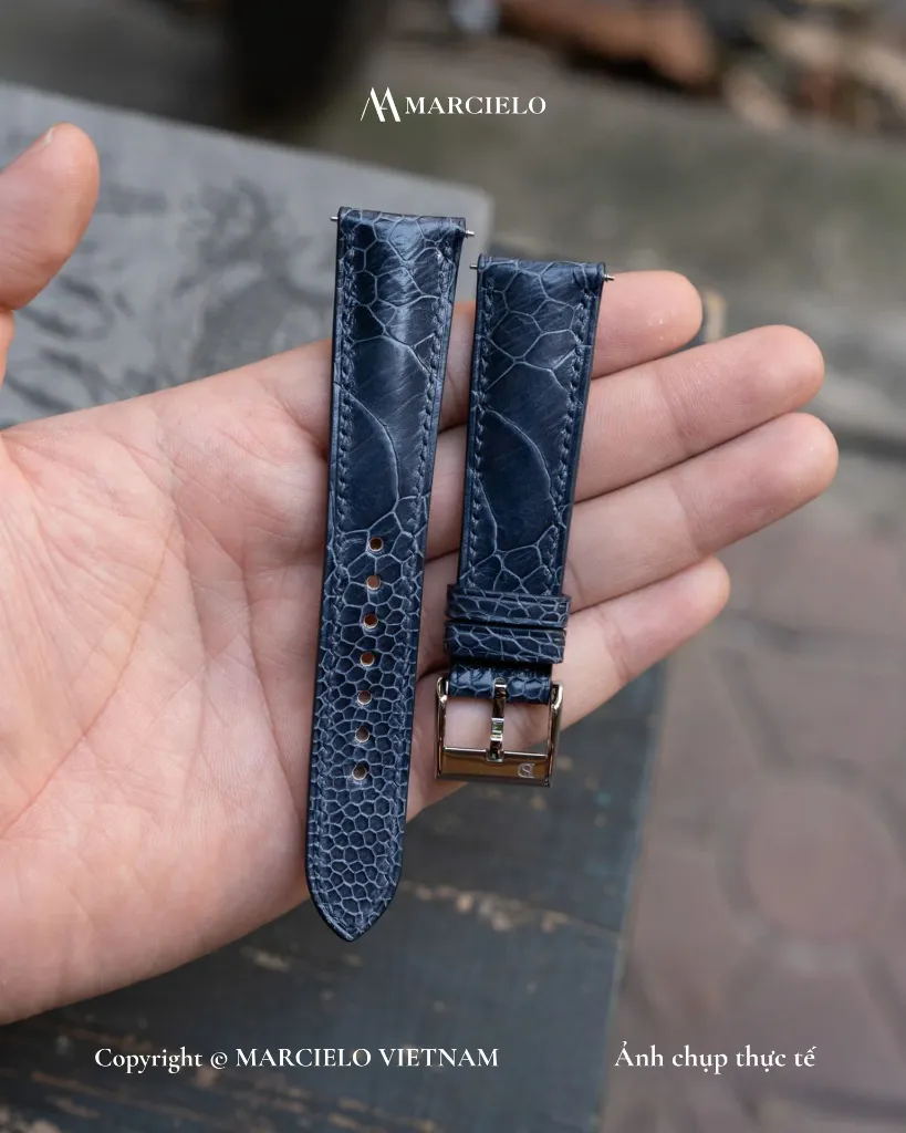 navy 1.webp